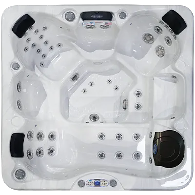 Avalon EC-849L hot tubs for sale in Monroe
